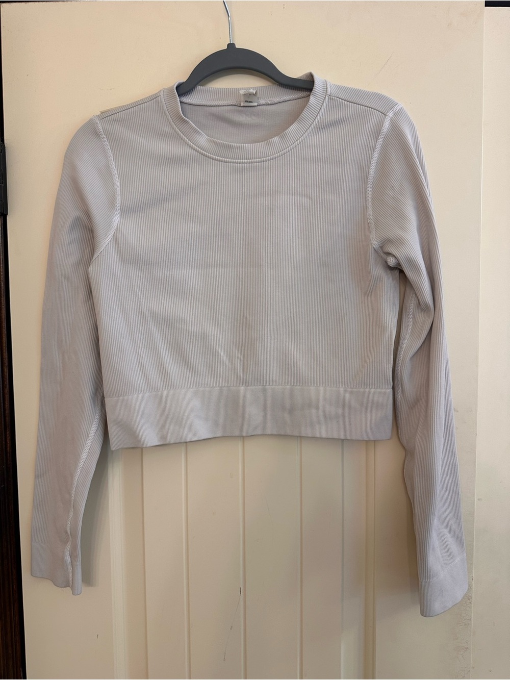 DSG Ribbed Cropped Top — Light Beige